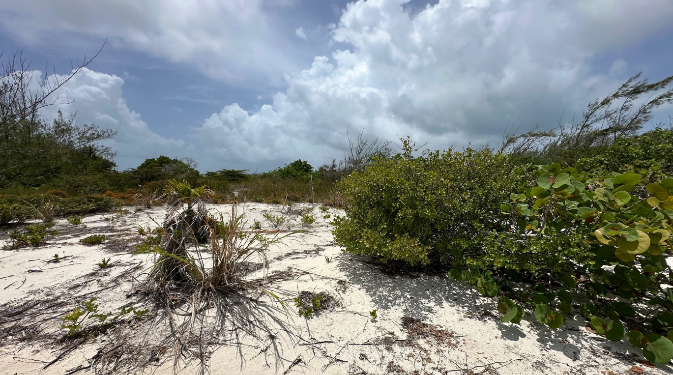 Beachfront Property for sale in Belize