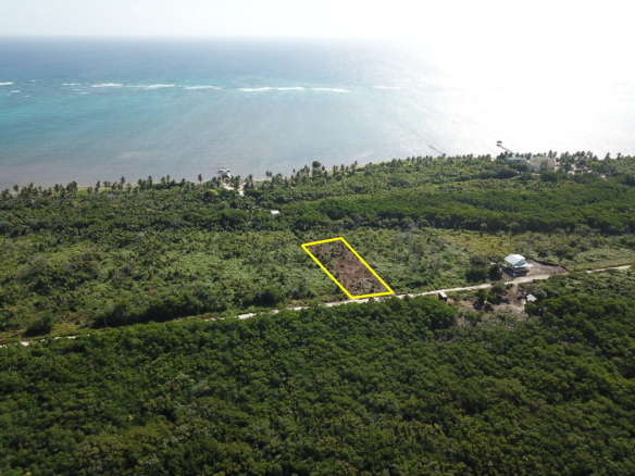 Second drone angle of the Caribbean Sea from a lot in Habaneros subdivision, Ambergris Caye, Belize